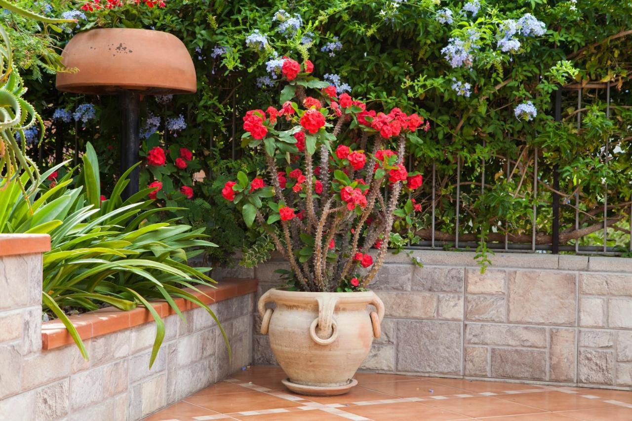 B&B Villa Carmen SantʼAlessio Siculo Екстериор снимка